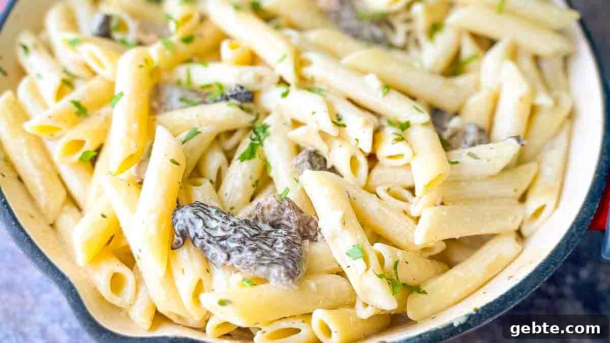 Morel Mushroom Pasta in a skillet, showing the creamy Boursin cheese sauce clinging to the pasta and mushrooms.