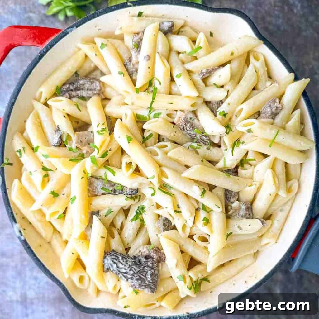 Serving Morel Mushroom Pasta with Boursin Cheese garnished with fresh parsley.