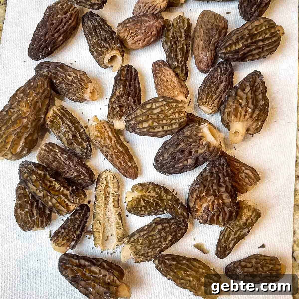 Whole morel mushrooms placed on a white paper towel before being washed or rinsed.