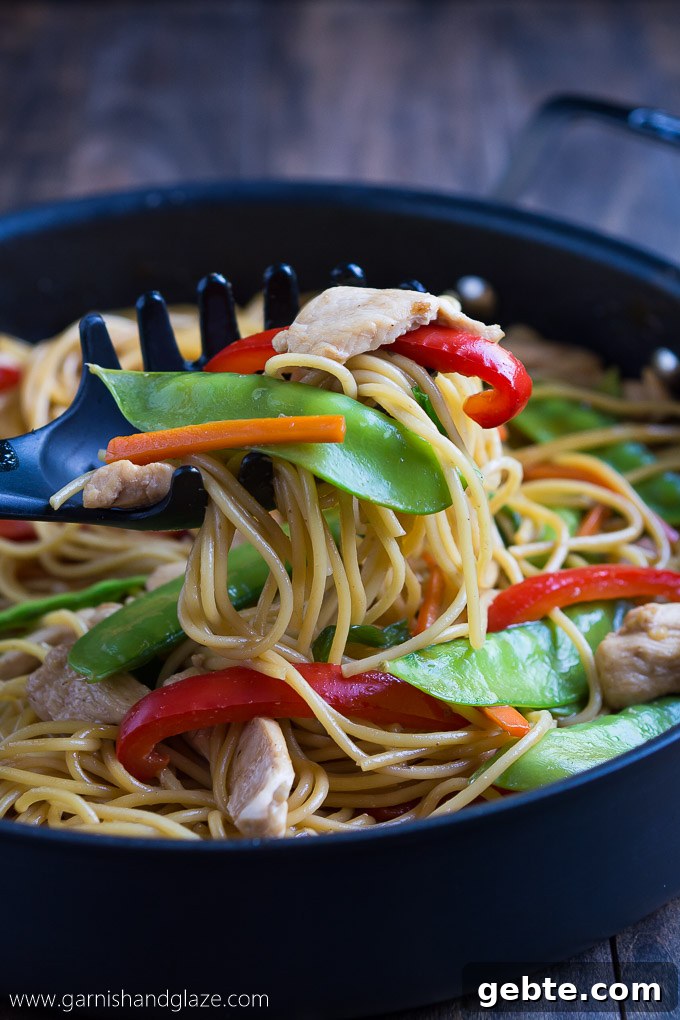 Take 20 minutes to toss this Chicken Lo Mein together to enjoy with your family.