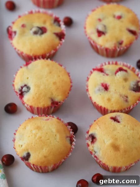 Cranberry Orange Quick Bread Recipe for Holiday Brunch 8 Cranberry muffins