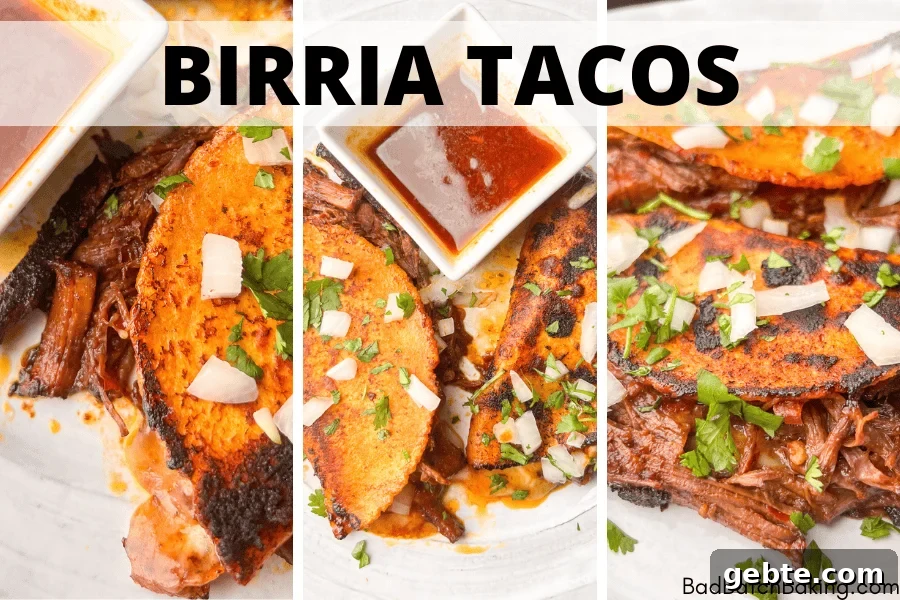 Halibut Tacos with Old Bay Crema and Citrus Slaw 8 Birria Tacos Recipe