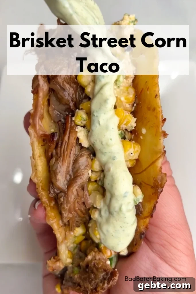Halibut Tacos with Old Bay Crema and Citrus Slaw 9 Brisket Tacos Recipe with Street Corn