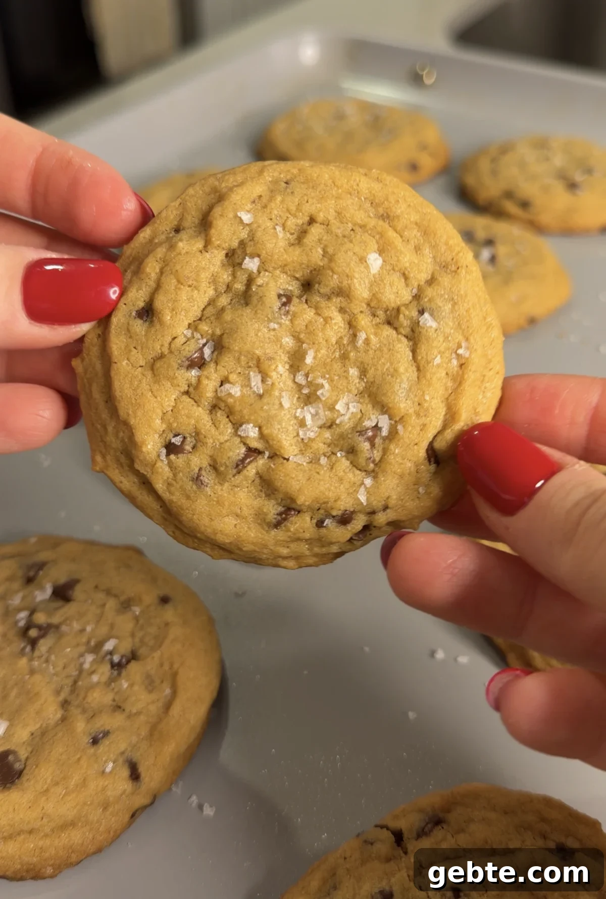 30-Minute Chewy Chocolate Chip Cookies You Can Make Tonight 2 img 6192 1