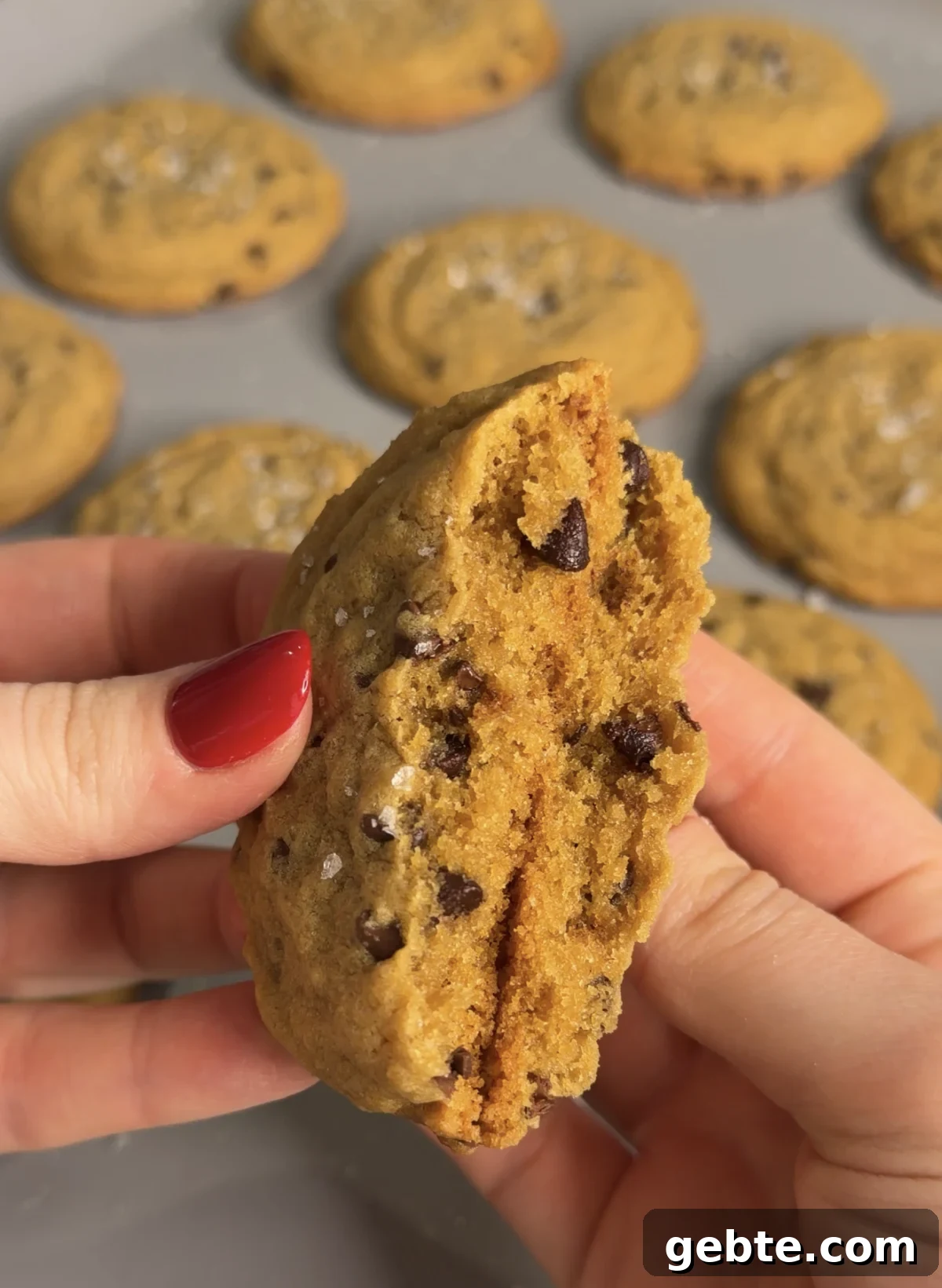 30-Minute Chewy Chocolate Chip Cookies You Can Make Tonight 3 img 6192 2
