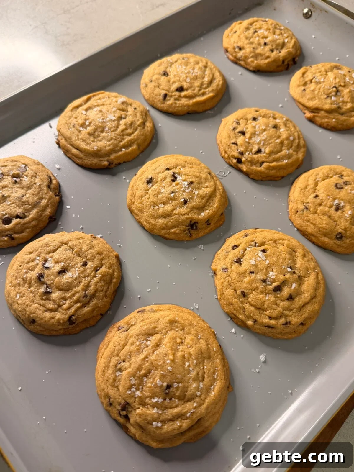 30-Minute Chewy Chocolate Chip Cookies You Can Make Tonight 5 img 6192 4