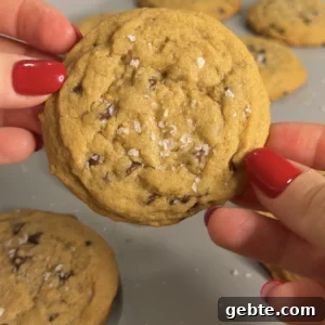 30-Minute Chewy Chocolate Chip Cookies You Can Make Tonight 6 img 6192 5