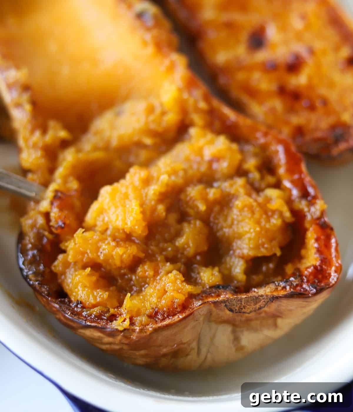 inside of butternut squash