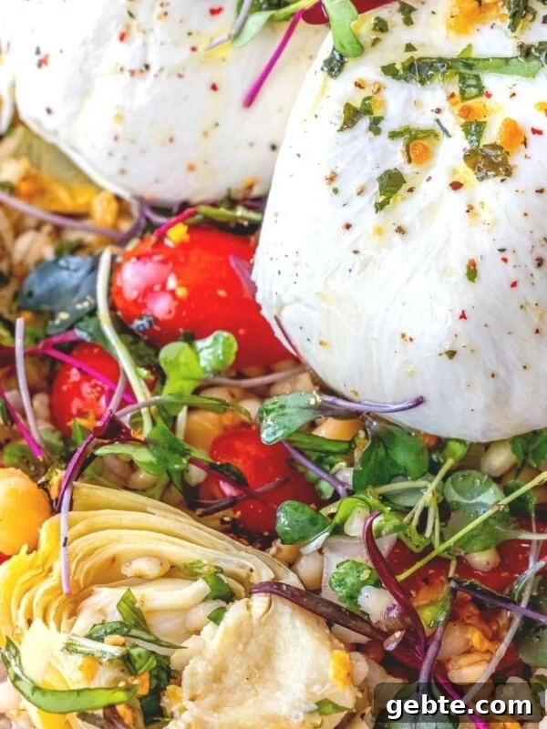 Burrata barley salad
