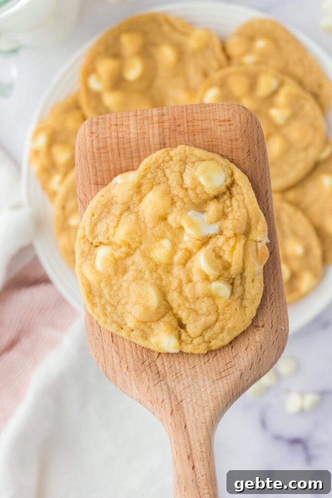 Cheesecake cookies on a wooden spoon.