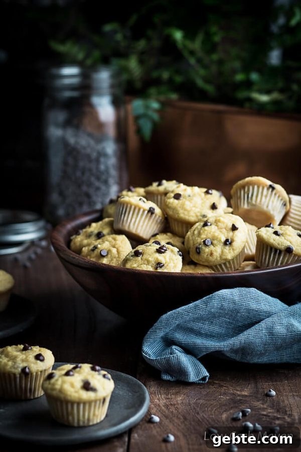 Looking for easy low carb muffins recipes? How about healthy mini chocolate chip muffins made with coconut flour for sugar-free or keto diets. 