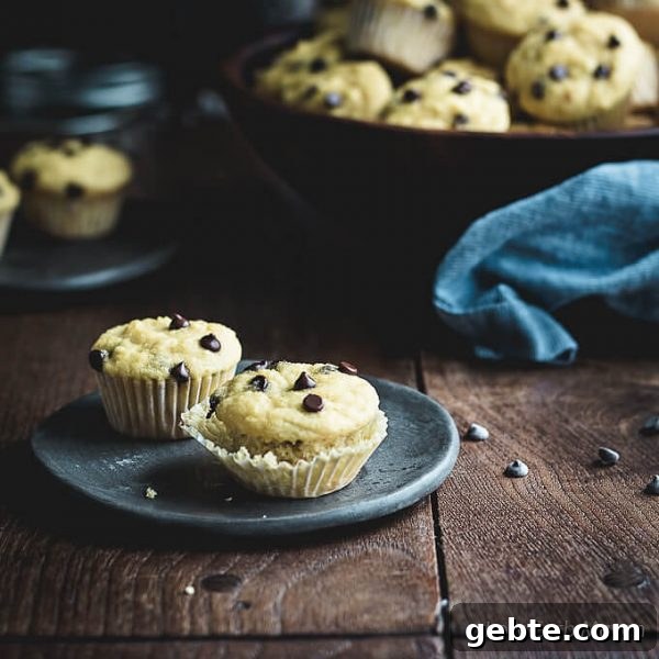 Mini chocolate chip muffins on a dark gray plate sitting on a wooden table with chocolate chips around the plate and large wooden bowl of muffins in the background with a blue napkin giving a pop of color to a decidedly brown photo.