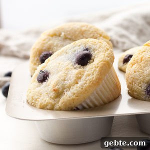 Coconut flour keto blueberry muffins are great low carb muffins.