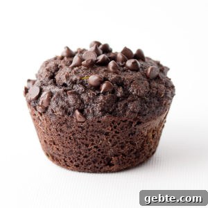 Low carb chocolate zucchini muffins made with coconut flour are gluten-free and perfect for a ketogenic diet. THM