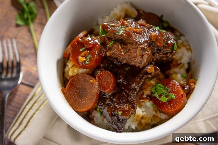 close up up brasied short ribs