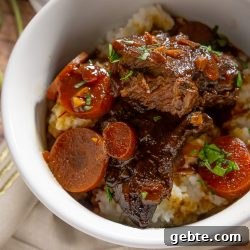 close up up brasied short ribs