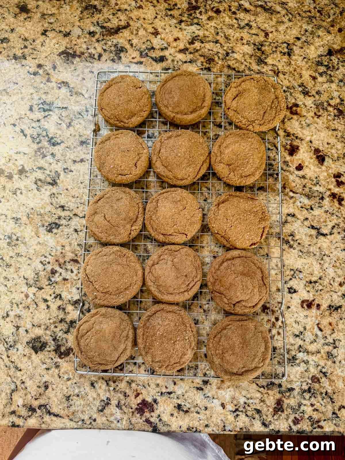Gingerbread Latte Cookies Recipe — Cozy Spiced Coffee Cookies 8 baked gingerbread latte cookies cooling on a wire rack.