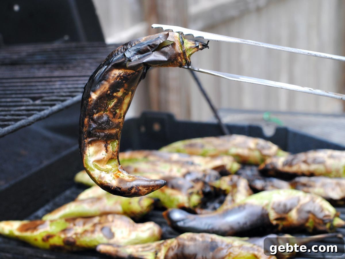 tongs holding up a roasted green chile above a grill