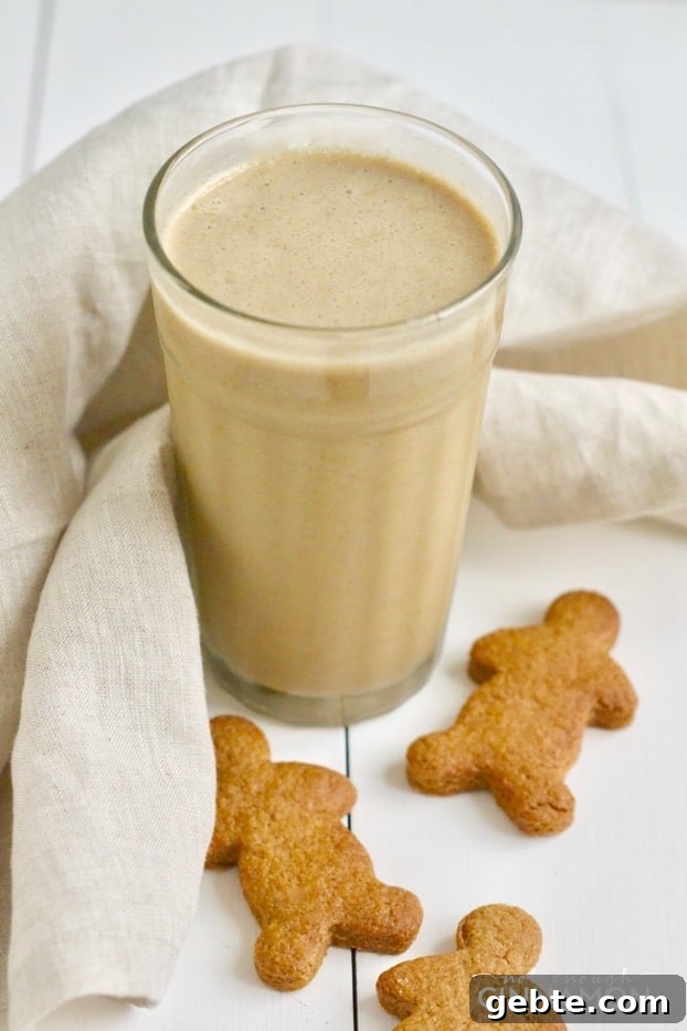 Gingerbread Smoothie Recipe: Cozy, Nutritious Holiday Drink 2 A yummy smoothie that tastes just like a gingerbread cookie but that's only made with healthy ingredients. Find the recipe on NotEnoughCinnamon.com #glutenfree #refinedsugarfree #paleo #vegan