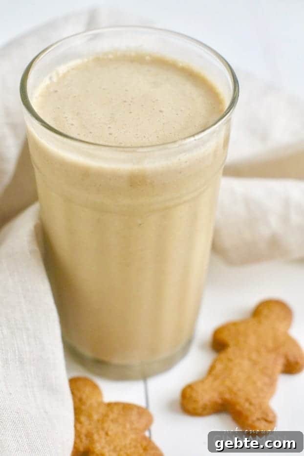 Gingerbread Smoothie Recipe: Cozy, Nutritious Holiday Drink 3 A yummy smoothie that tastes just like a gingerbread cookie but that's only made with healthy ingredients. Find the recipe on NotEnoughCinnamon.com #glutenfree #refinedsugarfree #paleo #vegan
