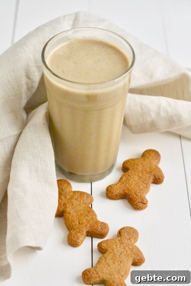 Gingerbread Smoothie Recipe: Cozy, Nutritious Holiday Drink 4 A yummy smoothie that tastes just like a gingerbread cookie but that's only made with healthy ingredients. Find the recipe on NotEnoughCinnamon.com #glutenfree #refinedsugarfree #paleo #vegan