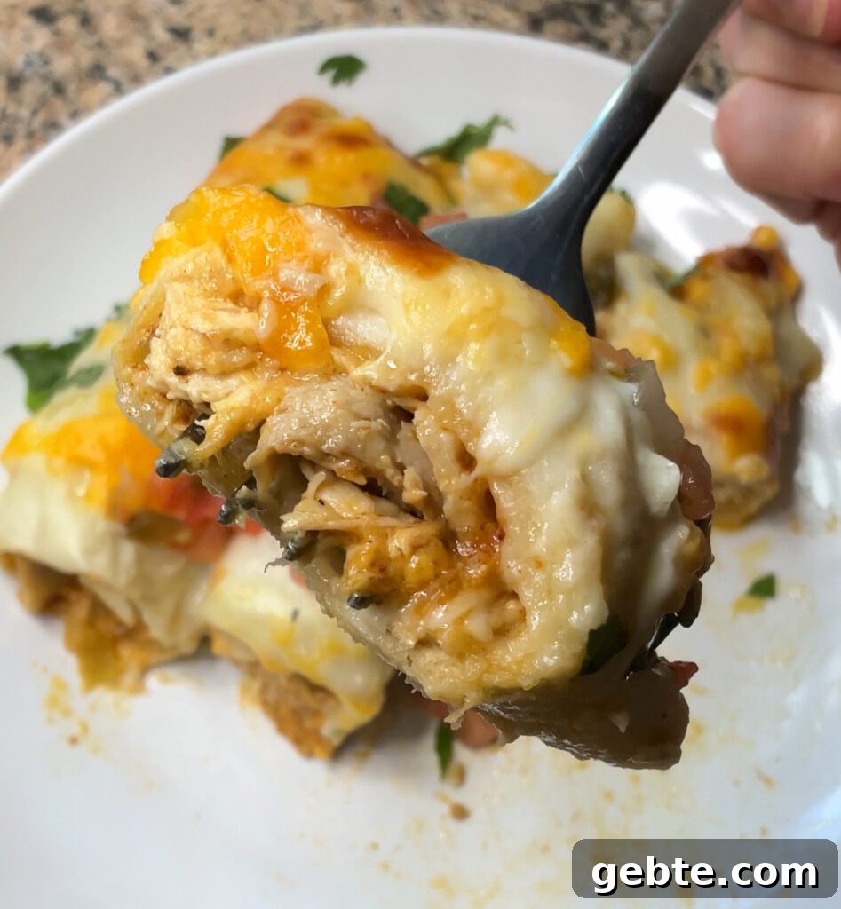 White Chicken Enchiladas