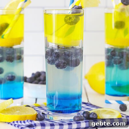 Blueberry Vodka Lemonade Recipe: Refreshing Summer Cocktail 12 Blueberry Vodka Lemonade in a glass cup