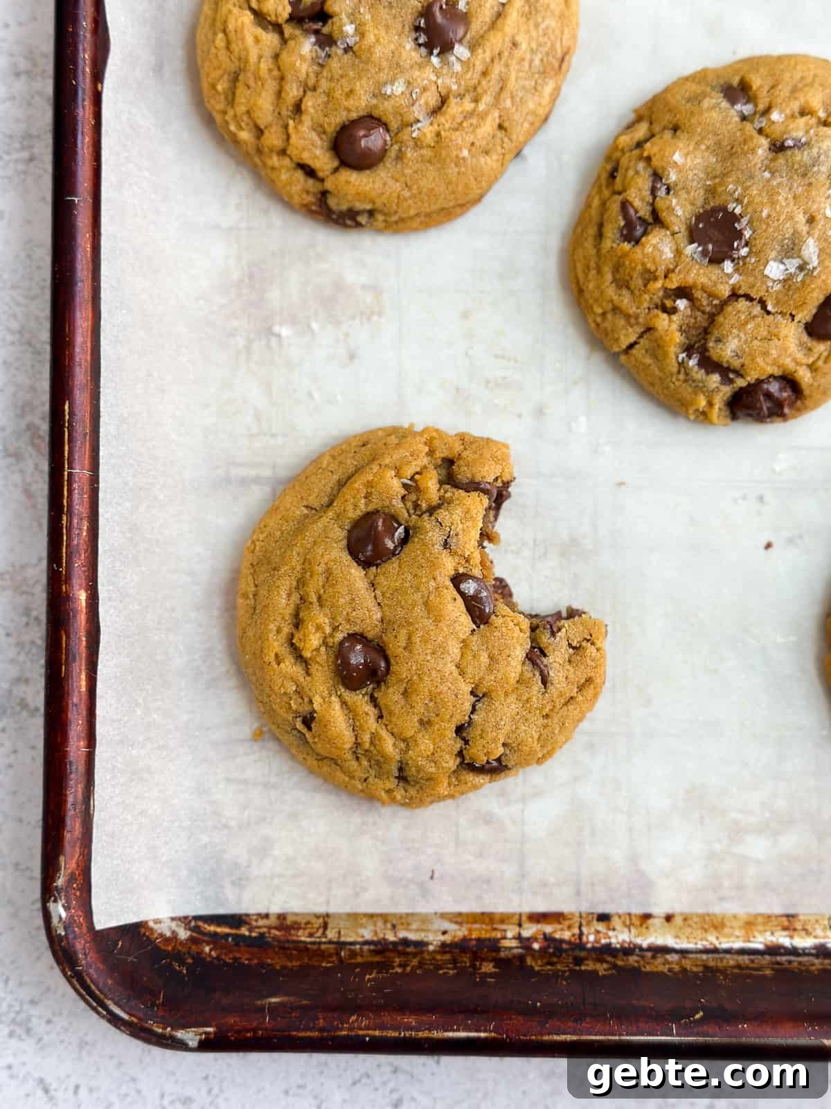 Chewy Pumpkin Chocolate Chip Cookie Recipe for Fall Baking 2 a chewy pumpkin chocolate chip cookie with a bite missing.