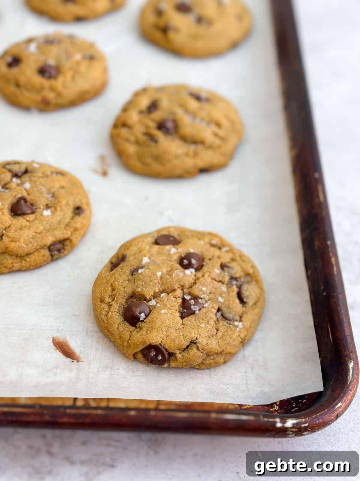 Chewy Pumpkin Chocolate Chip Cookie Recipe for Fall Baking 12 a side view of a chewy pumpkin chocolate chip cookie.