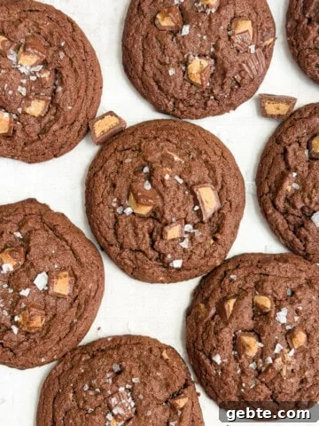 a few chocolate peanut butter cup cookies together.