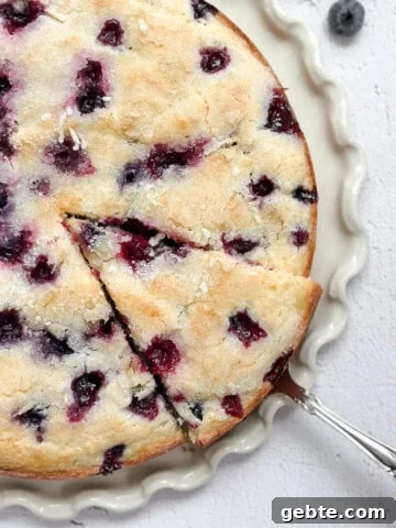 lemon blueberry sour cream cake on a cake plate with a spatula taking a piece.