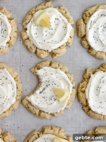 lemon poppyseed cookies with a bite missing from one.