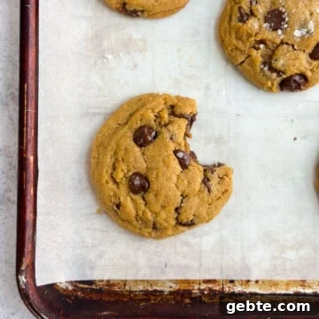 Chewy Pumpkin Chocolate Chip Cookie Recipe for Fall Baking 17 a chewy pumpkin chocolate chip cookie with a bite missing.