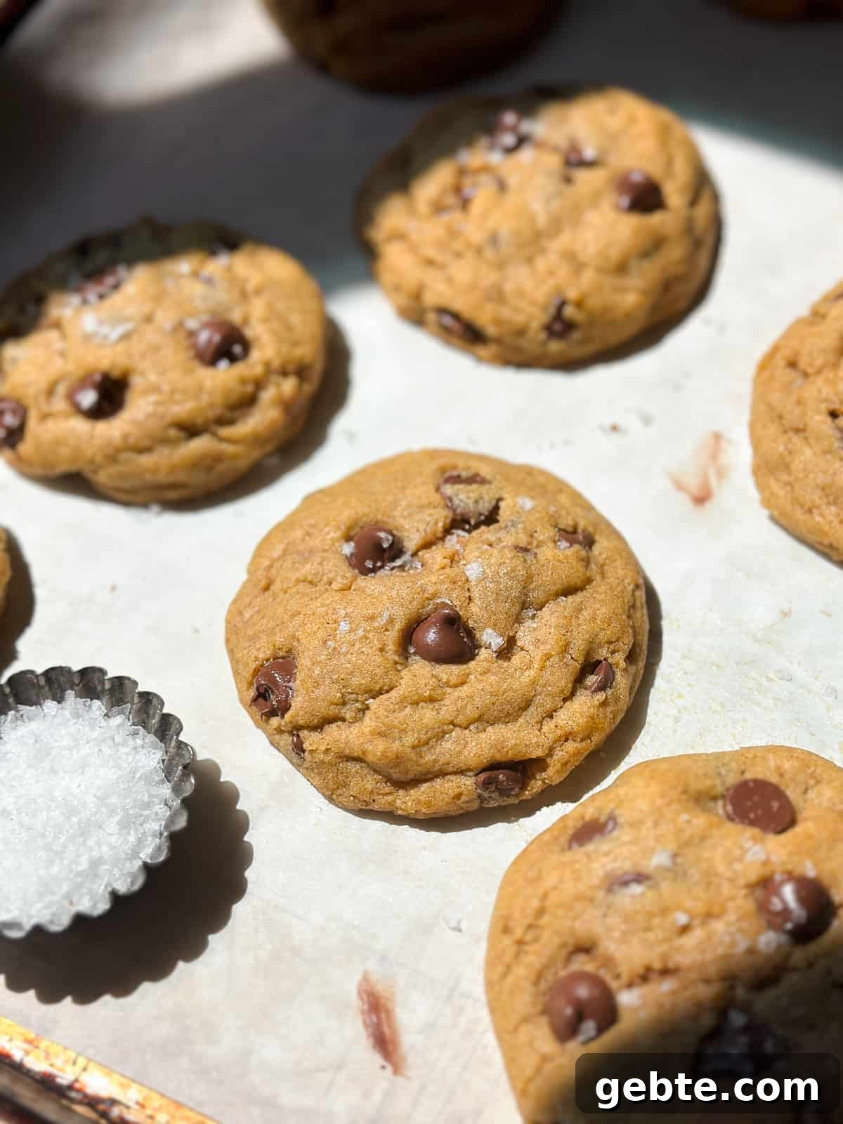 Chewy Pumpkin Chocolate Chip Cookie Recipe for Fall Baking 3 the sun shining on some chewy pumpkin chocolate chip cookies on a baking sheet.