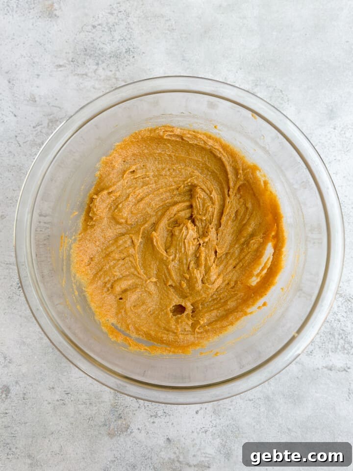 Chewy Pumpkin Chocolate Chip Cookie Recipe for Fall Baking 7 wet ingredients