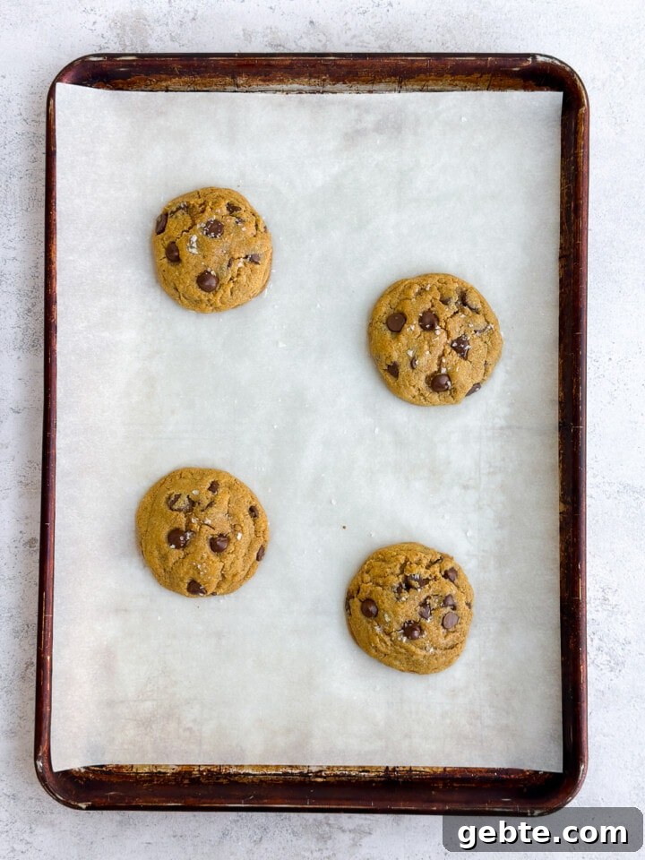 Chewy Pumpkin Chocolate Chip Cookie Recipe for Fall Baking 10 cookie dough balls after baking.
