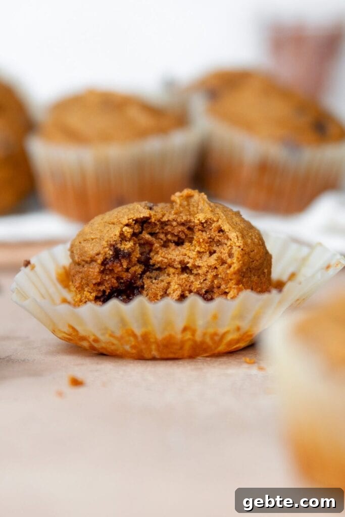 super fluffy and moist healthy oat flour pumpkin muffins