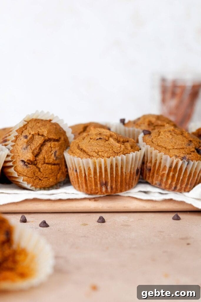 pumpkin oatmeal muffins with chocolate chips