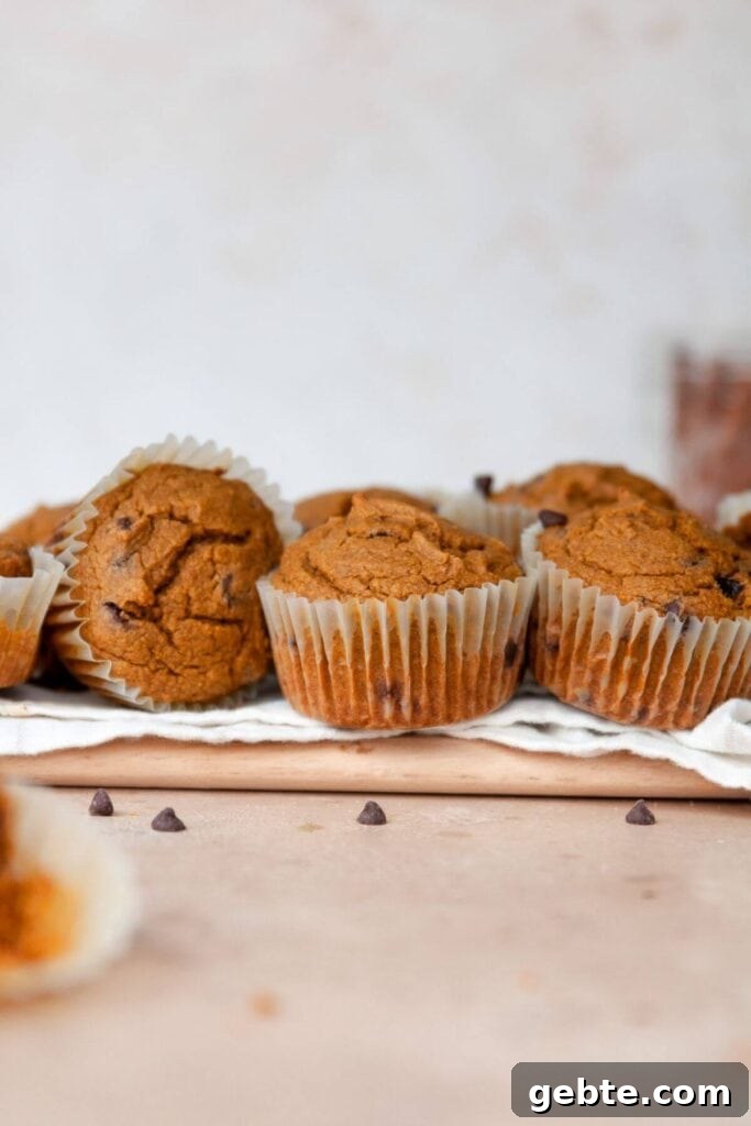 healthy pumpkin muffins made with oat flour