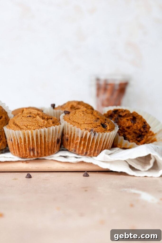 oat flour pumpkin muffins