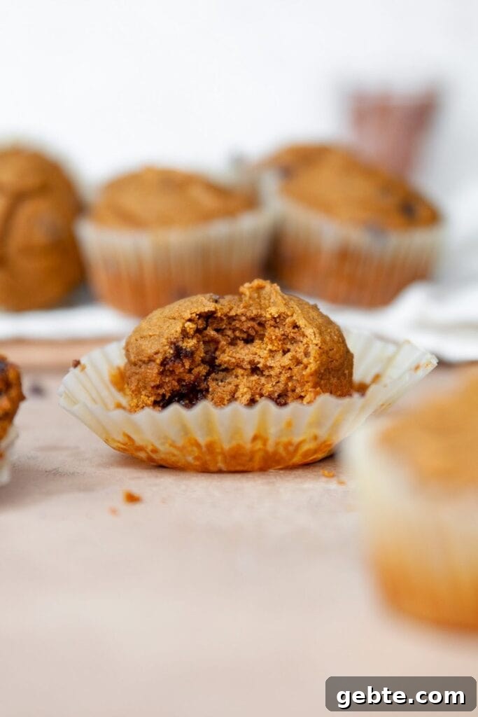 bite shot of a healthy oat flour pumpkin muffin