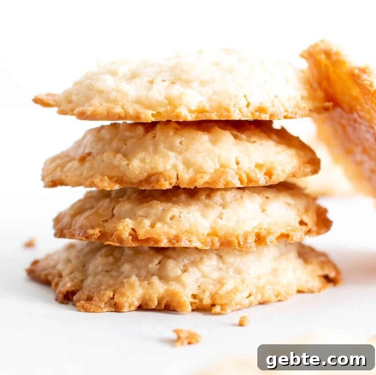 4 Ingredient Vegan Coconut Cookies