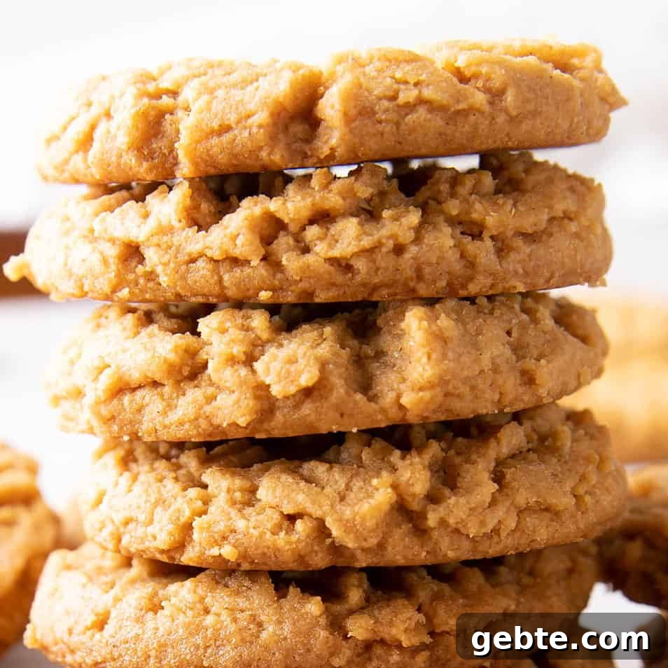 square photo of a stack of keto peanut butter cookies