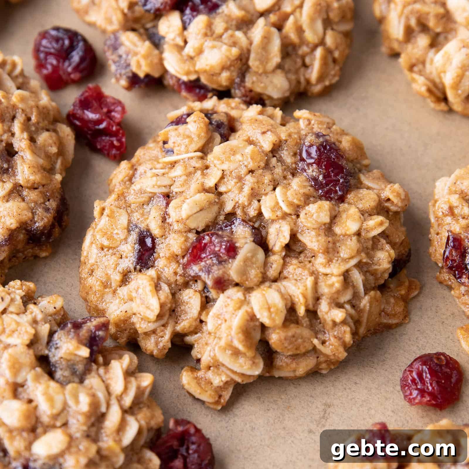 Healthy Oatmeal Cranberry Cookies