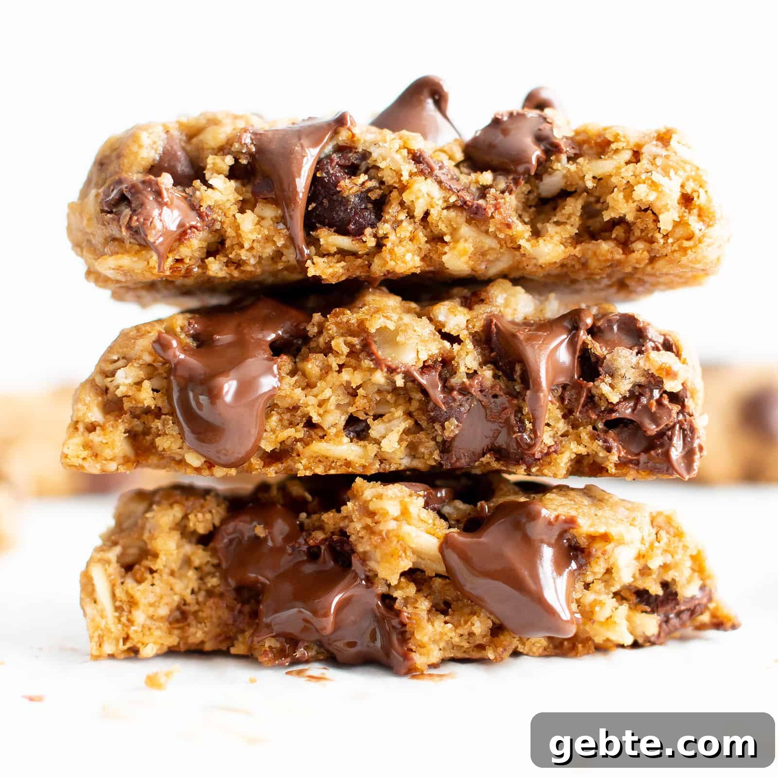 The BEST Gluten Free Oatmeal Chocolate Chip Cookies