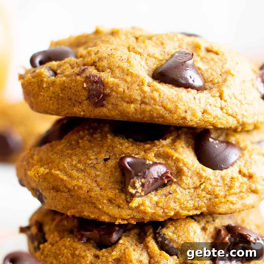 Gluten Free Pumpkin Cookies (Vegan)