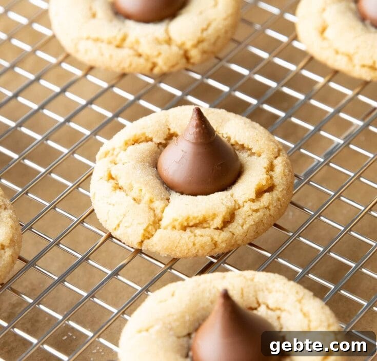 Image for Peanut Butter Blossoms
