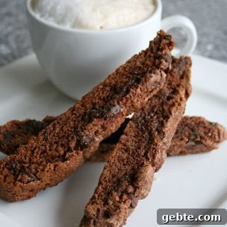 Double Chocolate Biscotti