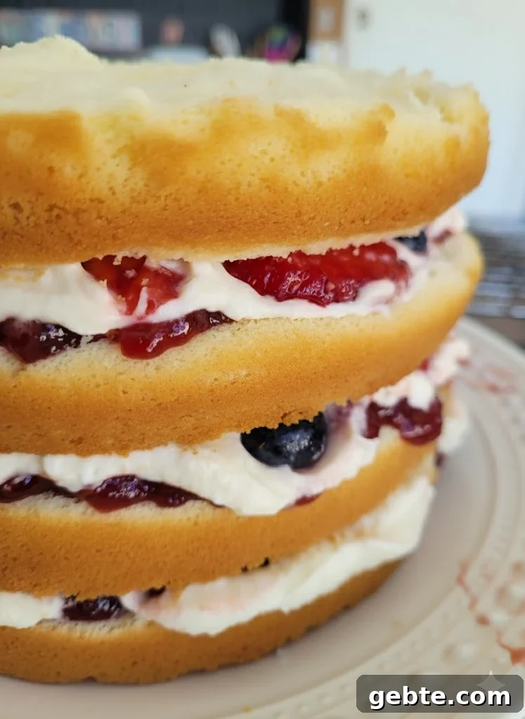 Berry Chantilly Cake: Light Cream Cake with Fresh Berries 9 four layer berry cake