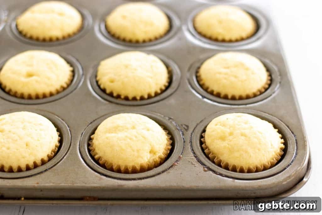 mini cupcakes cooling in pan